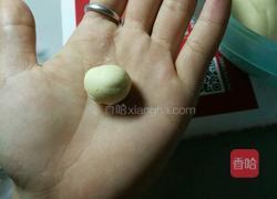 凉拌大疙瘩的做法图解3