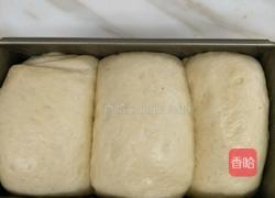 红豆馅吐司的做法图解8