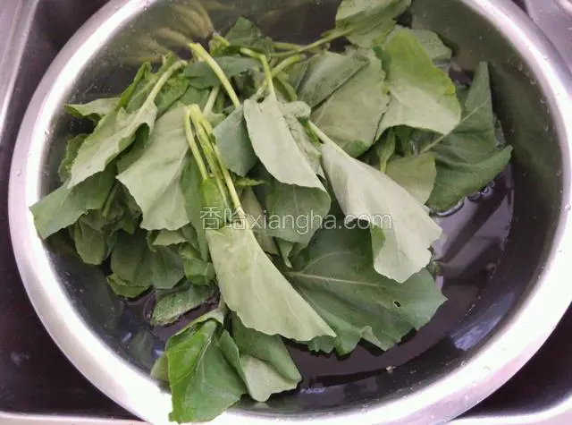 芥蓝菜摘去老梗和老叶，冲洗干净。
