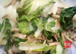 菊花菜炒蟹腿菇的做法图解4