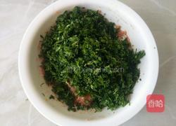 荠菜饺子的做法图解9