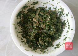 荠菜饺子的做法图解10