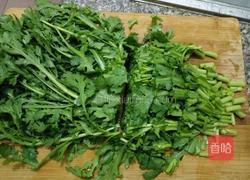 酱茼蒿的做法图解2