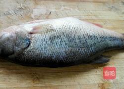 醋溜鲈鱼的做法图解1