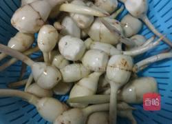 糖醋茨菇的做法图解1