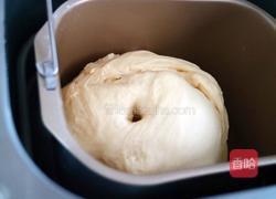 牛奶小餐包的做法图解5