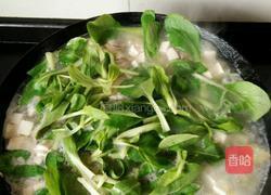 鲜嫩鲫鱼豆腐汤的做法图解5