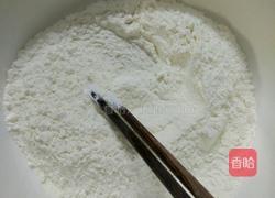 简易鲜蔬披萨的做法图解1