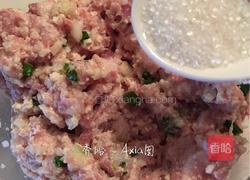 豆腐煎肉饼的做法图解6