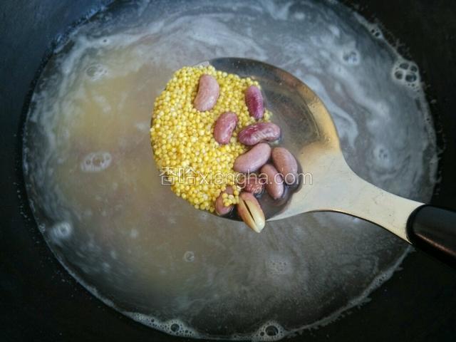 锅里放适量的水，把泡好的黄米和花豆一起倒入锅里。（水多放点没关系啦，因为最后咱们会把多余的水撇出来哦，所以不用纠结放水滴问题）