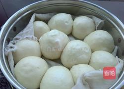 馒头(混合发酵 一次醒发)的做法图解18