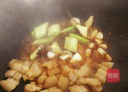 胡萝卜烧肉的做法图解8