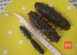 自发海参的做法图解11