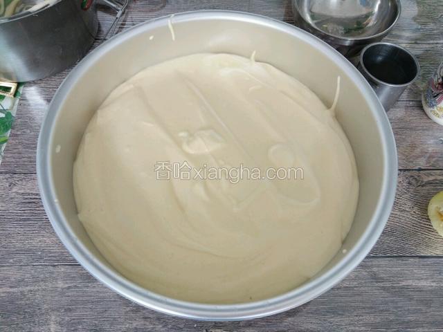 拌匀的蛋糕糊倒入10寸阳极模具中。要用活底的。倒入后用铲子铲平表面，然后震几下震出气泡。