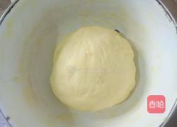 牛奶花型小面包的做法图解5