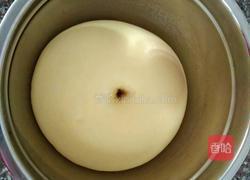 豆沙小餐包的做法图解8