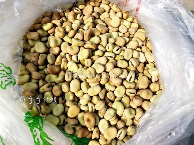 干蚕豆适量。