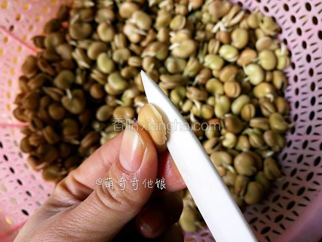 泡发好的蚕豆用小刀在上部划开一个口子，划到蚕豆一半位置即可。
