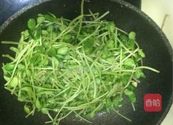 蒜香豆苗的做法图解4