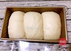 波兰酵种原味土司的做法图解15