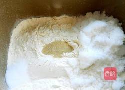 菠菜面豆沙小餐包的做法图解3