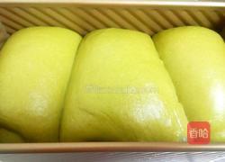 菠菜吐司面包的做法图解15