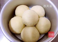 椰蓉五连面包的做法图解10
