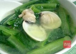 车螺芥菜汤的做法图解8