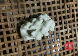 荞麦老鼠的做法图解12