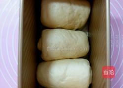 北海道土司(直接法)的做法图解10