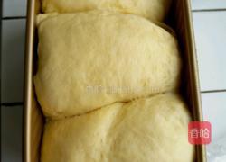 北海道土司(直接法)的做法图解11