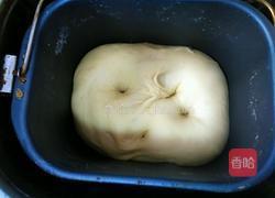 双色吐司的做法图解4