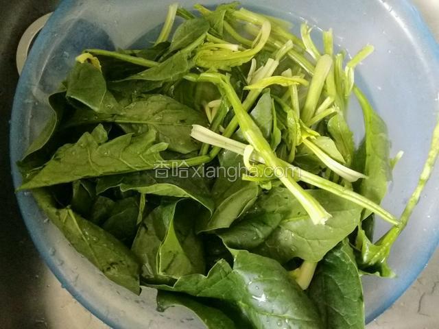 菠菜反复用清水去泥沙洗净；