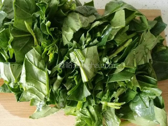 菠菜切成5厘米长段；
