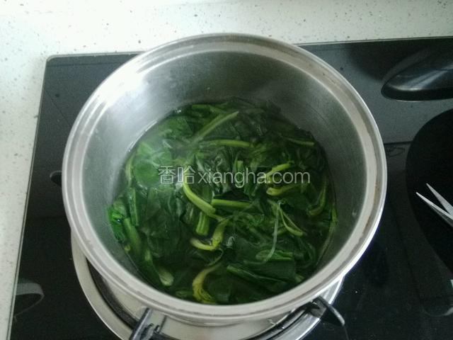 开水焯菠菜三分钟捞出；