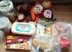 纯正(泰式)咖喱鸡米饭的做法图解2