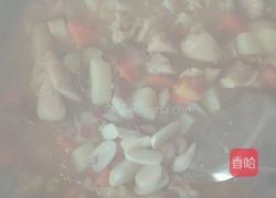 纯正(泰式)咖喱鸡米饭的做法图解18