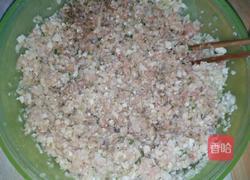 萝卜莲藕肉丸子的做法图解5