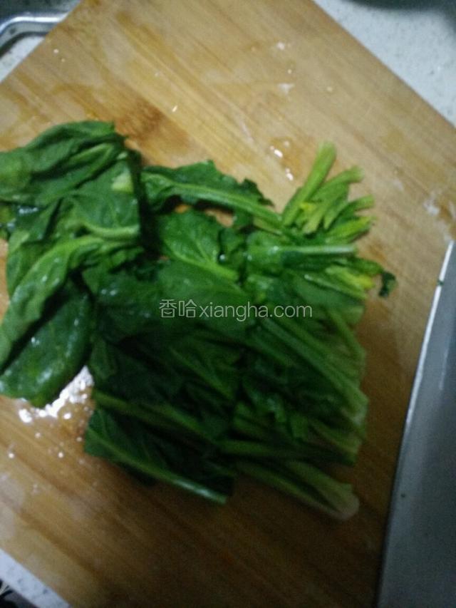 菠菜切段。