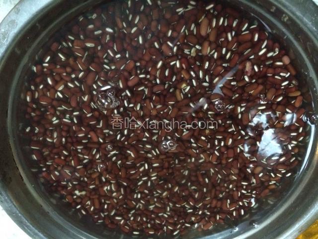盆里放多点凉水将小豆泡一晚