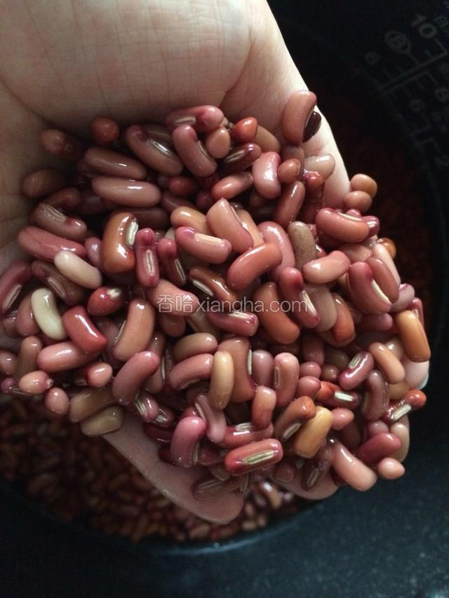 第二天泡好的豆子是原来的两倍大，滤掉盆中的水
