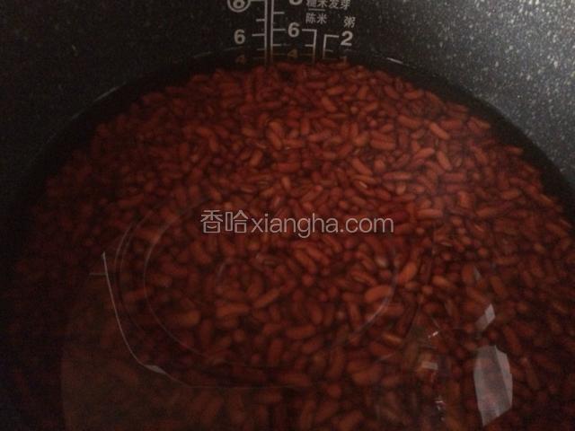 将小豆放入电饭煲中，加入纯净水，水量同蒸饭一样，开启煲粥功能