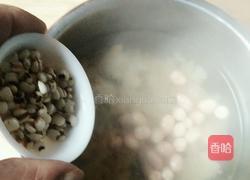薏米花生银耳羹的做法图解5