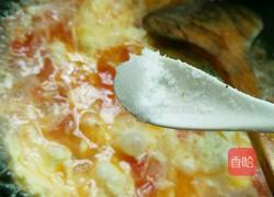 番茄鸡蛋汤的做法图解10