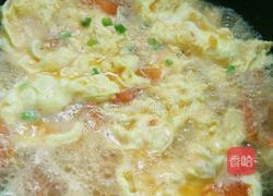 番茄鸡蛋汤的做法图解11