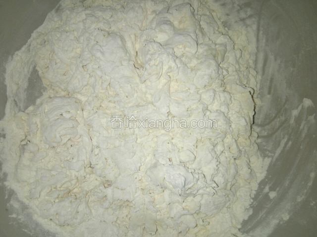 分次加入适量温水，用筷子搅成棉絮状