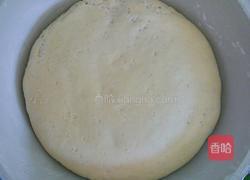白馒头的做法图解4