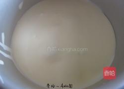 提拉米苏的做法图解16