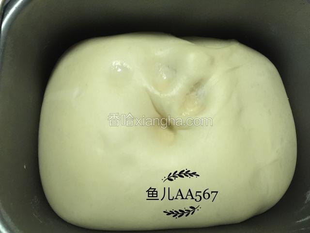 约2小时发至二倍大。