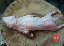 竹鼠烧萝卜的做法图解1